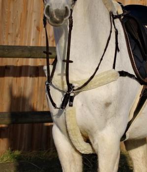 5 Point Breastplate „Milano“ with Faux Lambskin Covers